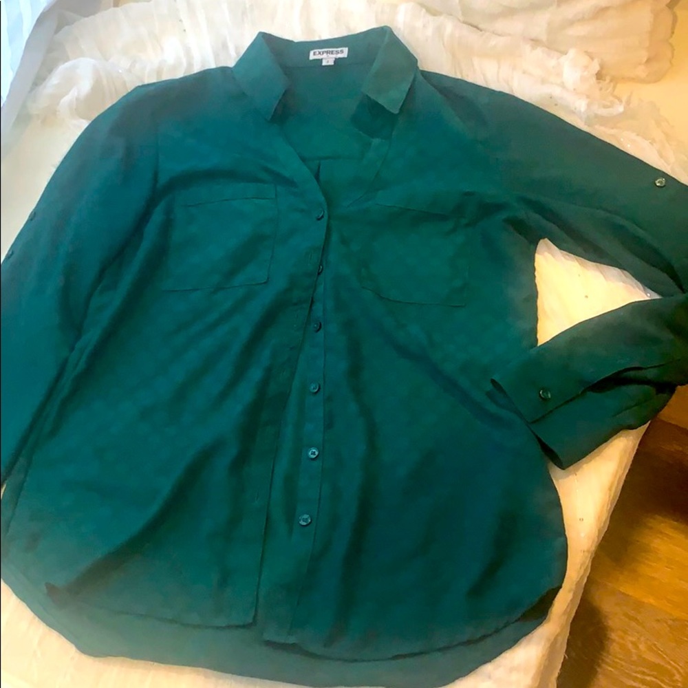 Express Button Down Blouse - image 1